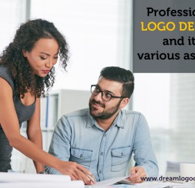 Professional logo design and its various aspects