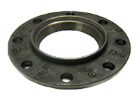 Ductile Iron Pipe Flange (DPF)